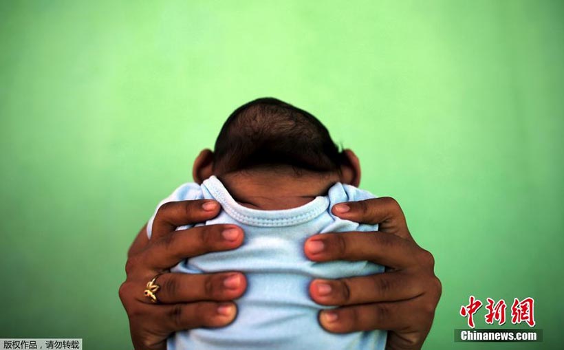 OMS lan?a resposta global para enfrentar surto do vírus Zika