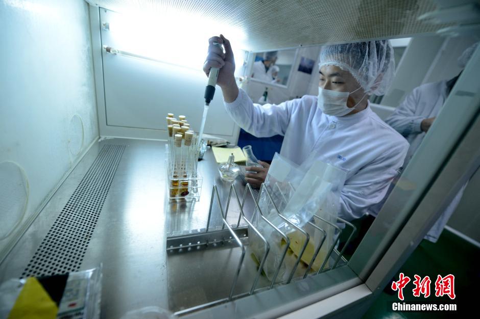 Galeria: Processo de produ??o das refei??es servidas a bordo dos avi?es