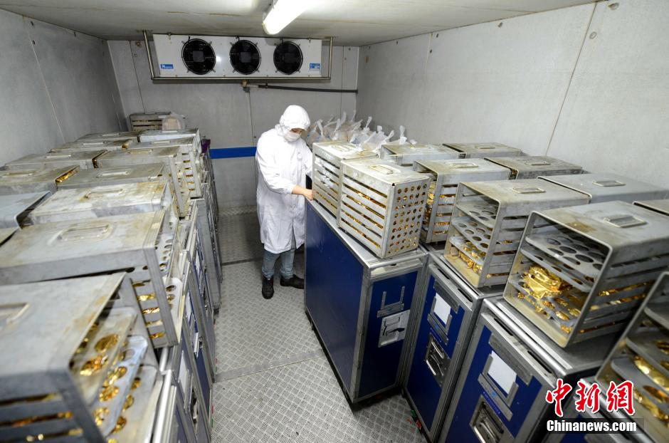 Galeria: Processo de produ??o das refei??es servidas a bordo dos avi?es