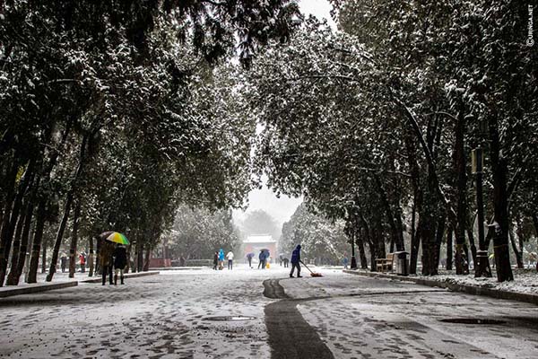 Miguel Madeira: o português que saiu da sua “zona de conforto” para ir fotografar a beleza da China