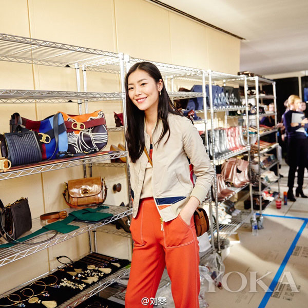 Diferentes looks da modelo Liu Wen