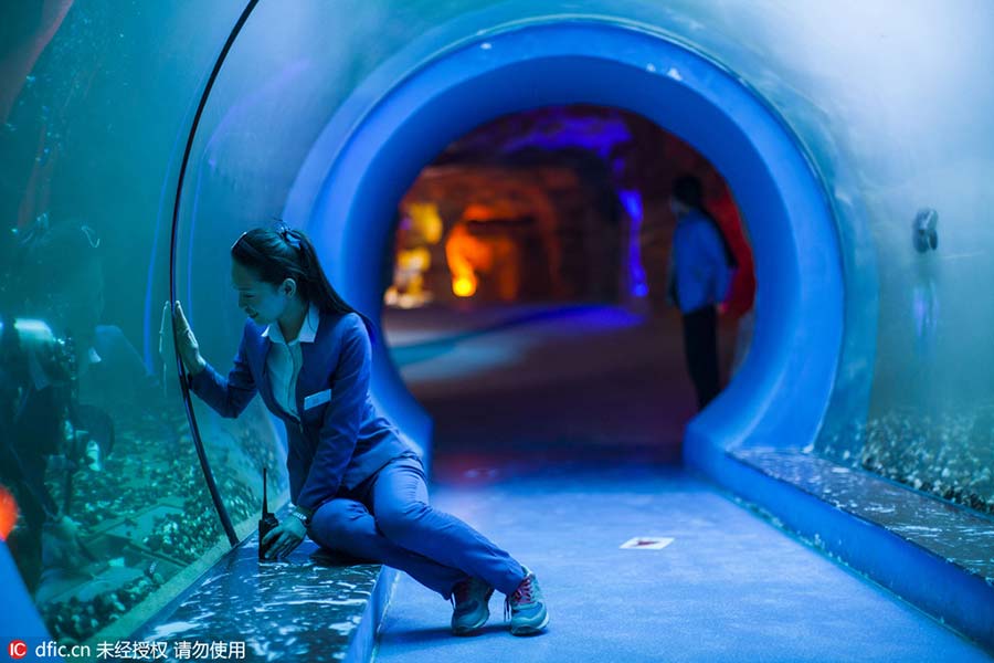 Mulher sai da televis?o para se tornar uma “sereia” em aquário de Changchun