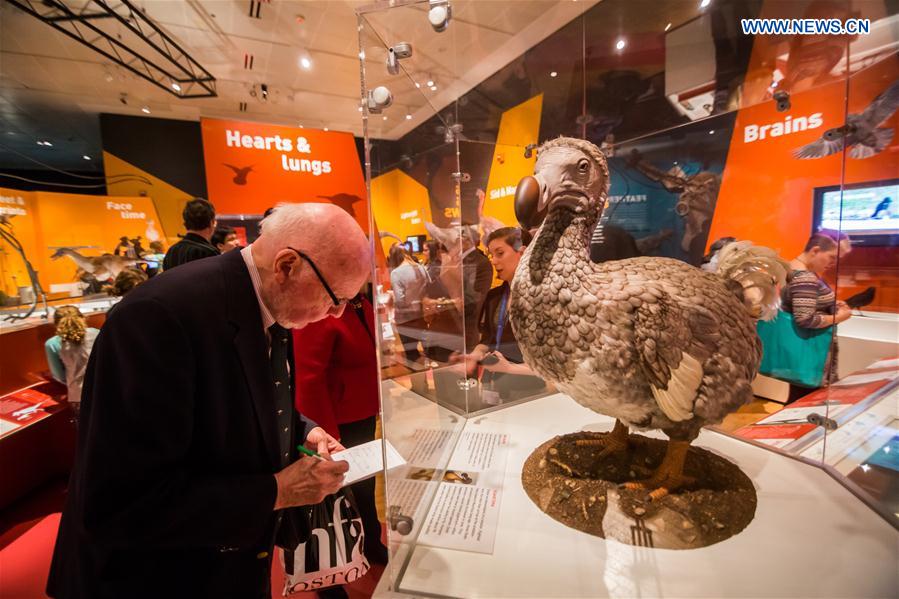 Exposi??o “Dinossauros Entre Nós” abre ao público em Nova Iorque