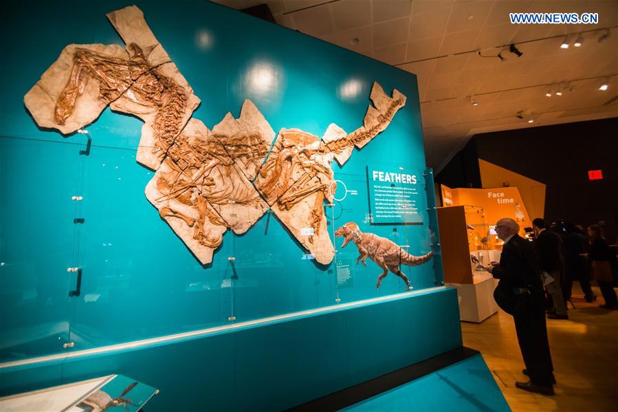 Exposi??o “Dinossauros Entre Nós” abre ao público em Nova Iorque