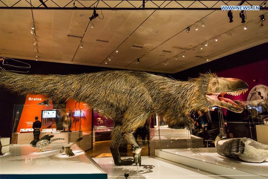 Exposi??o “Dinossauros Entre Nós” abre ao público em Nova Iorque