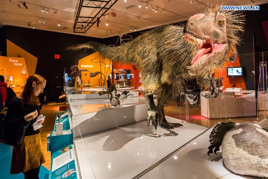 Exposi??o “Dinossauros Entre Nós” abre ao público em Nova Iorque