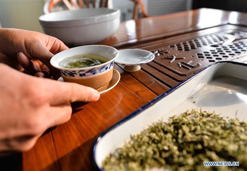 Produ??o de chá Biluochun