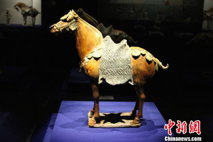 Ceramica rara da Dinastia Tang é exibida no noroeste da China