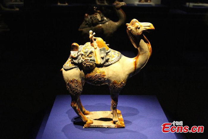 Ceramica rara da Dinastia Tang é exibida no noroeste da China