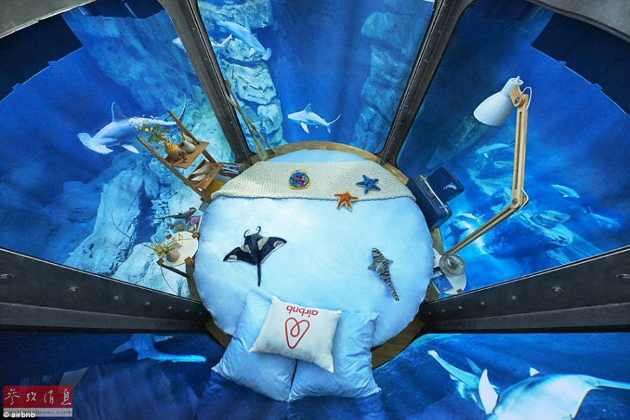 Insólito: Aquário de Paris oferece a oportunidade de dormir com…tubar?es