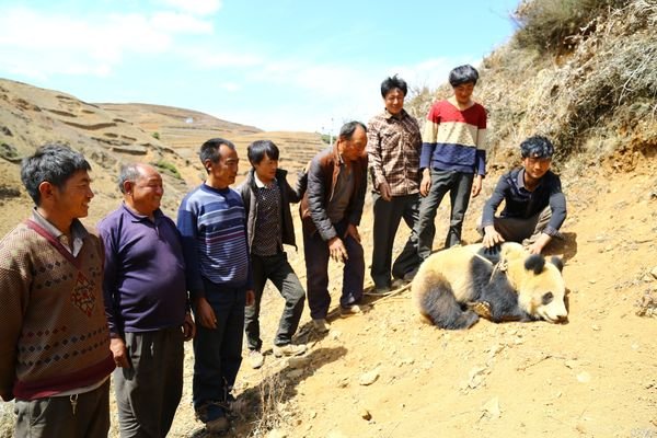 Localizado panda gigante selvagem no sudoeste da China
