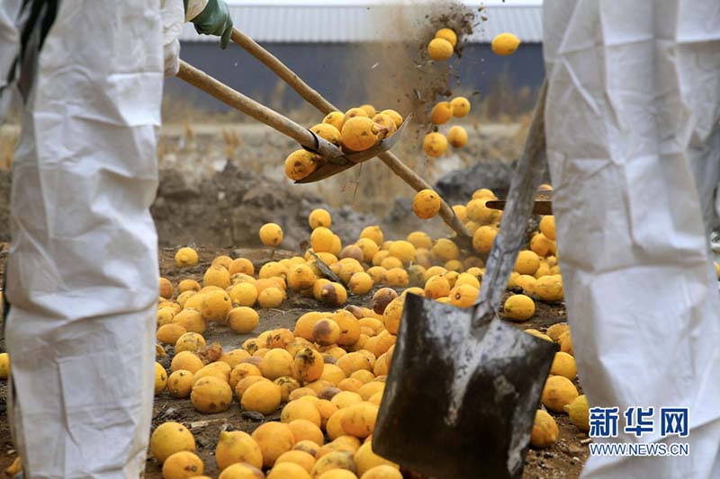 China refor?a biosseguran?a na importa??o de animais e plantas