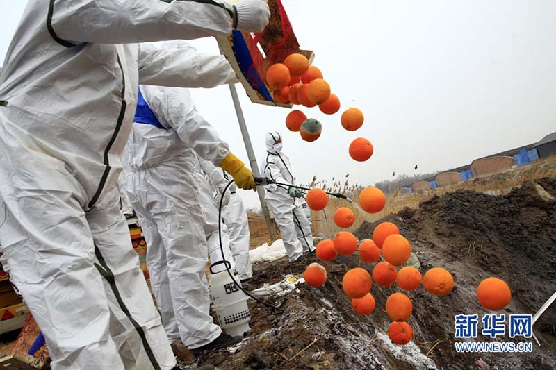 China refor?a biosseguran?a na importa??o de animais e plantas