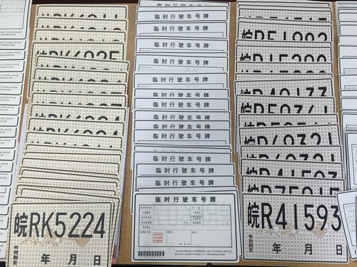 Dezenove pessoas s?o presas por falsifica??o de placas de carro