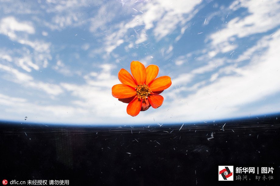 NASA publica galeria de fotos da terra tiradas do espa?o