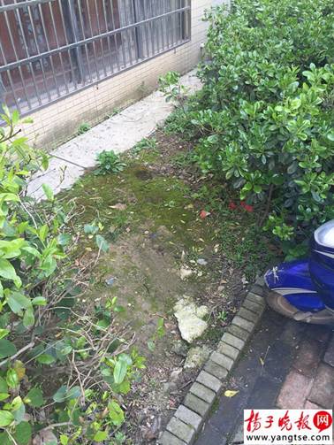 Crian?a cai 15 andares de cabe?a e sobrevive no leste da China