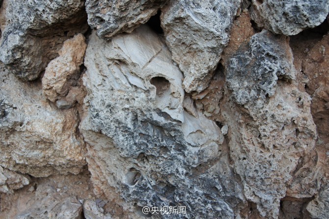 Aldeia antiga com casas construidas por fósseis de 375 milh?es de anos