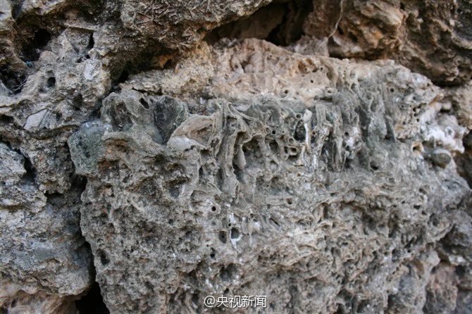 Aldeia antiga com casas construidas por fósseis de 375 milh?es de anos