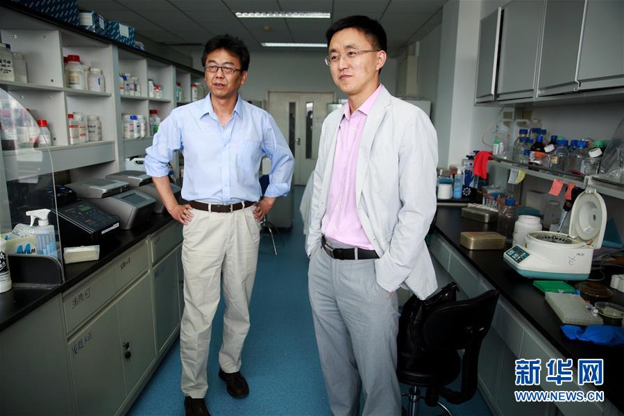 Cientistas chineses conformam liga??o entre Zika e microcefalia