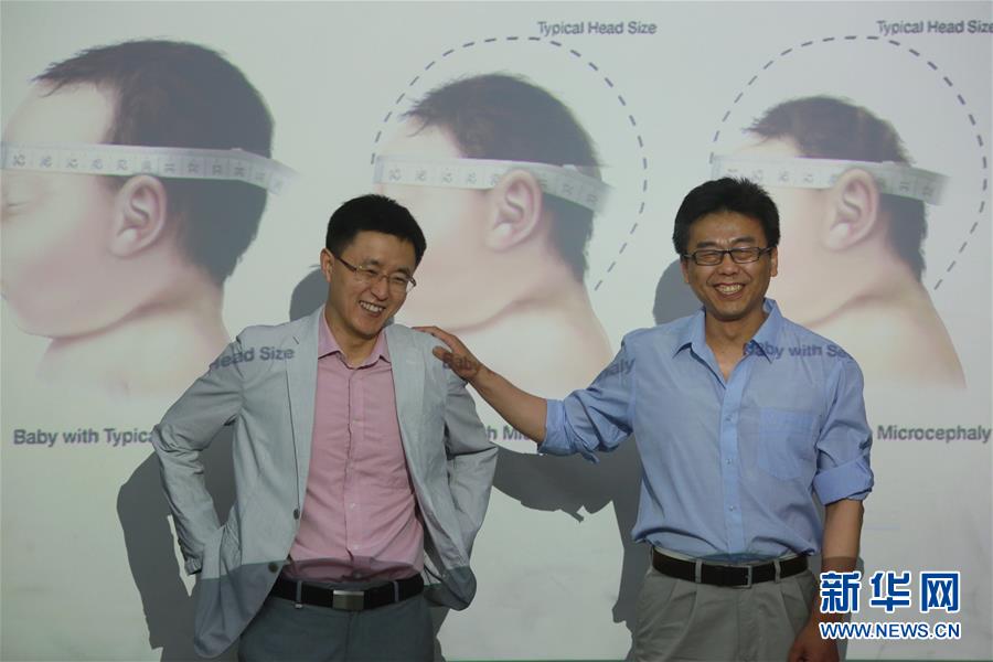 Cientistas chineses conformam liga??o entre Zika e microcefalia