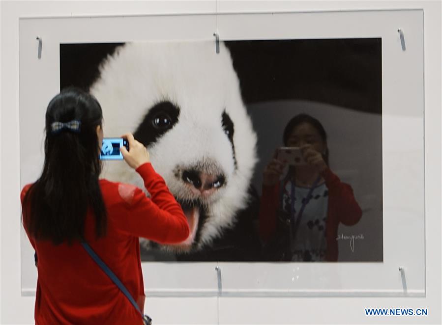 Exposi??o de arte alusiva ao panda será inaugurada em HK