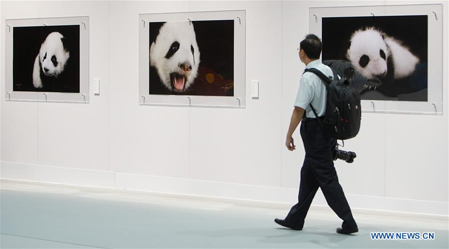 Exposi??o de arte alusiva ao panda será inaugurada em HK
