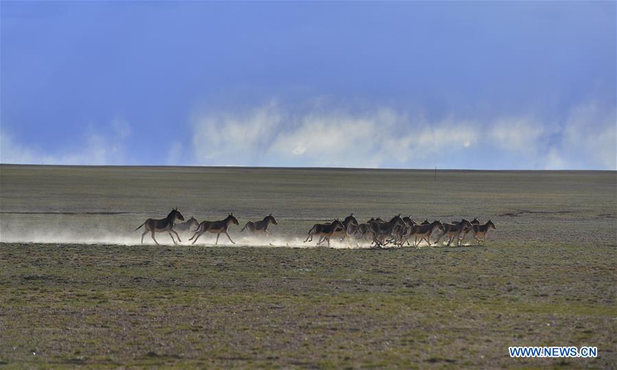 Paisagens da Regi?o Aut?noma do Tibete