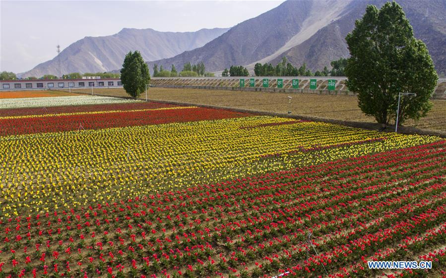 Paisagens da Regi?o Aut?noma do Tibete