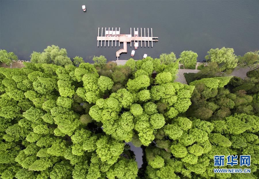 Vis?o aérea da cidade anfitri? do G20