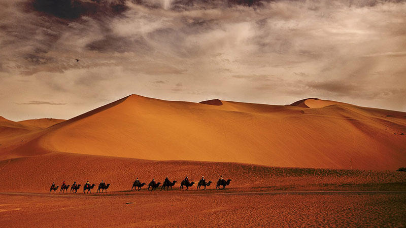 Grande Muralha e bambu s?o escolhidos como símbolos culturais mais emblemáticos da China