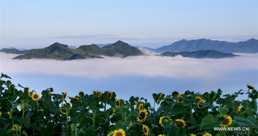 Paisagem da cidade de Huangshan no leste da China
