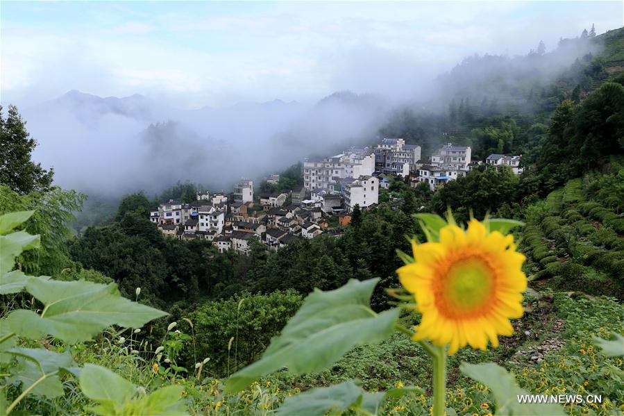 Paisagem da cidade de Huangshan no leste da China