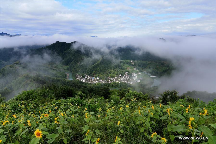 Paisagem da cidade de Huangshan no leste da China