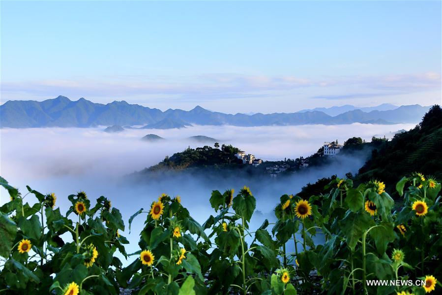 Paisagem da cidade de Huangshan no leste da China