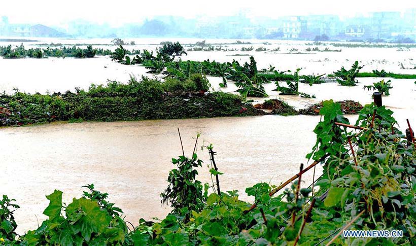 Tuf?o Nepartak deixa seis mortos e oito desaparecidos no leste da China