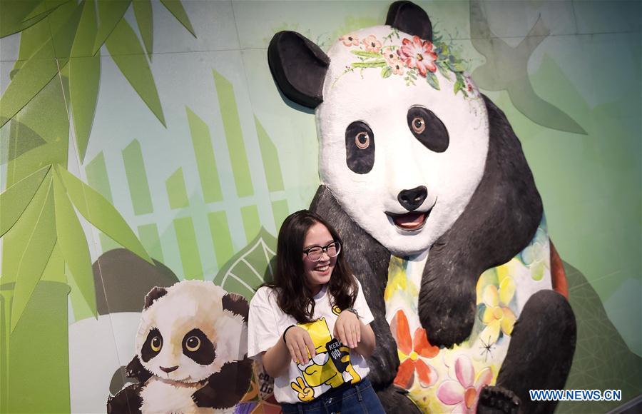 Trem com tema de panda é inaugurado em metr? em Chengdu