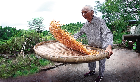 Vovó de 109 anos diz “n?o” ao sedentarismo