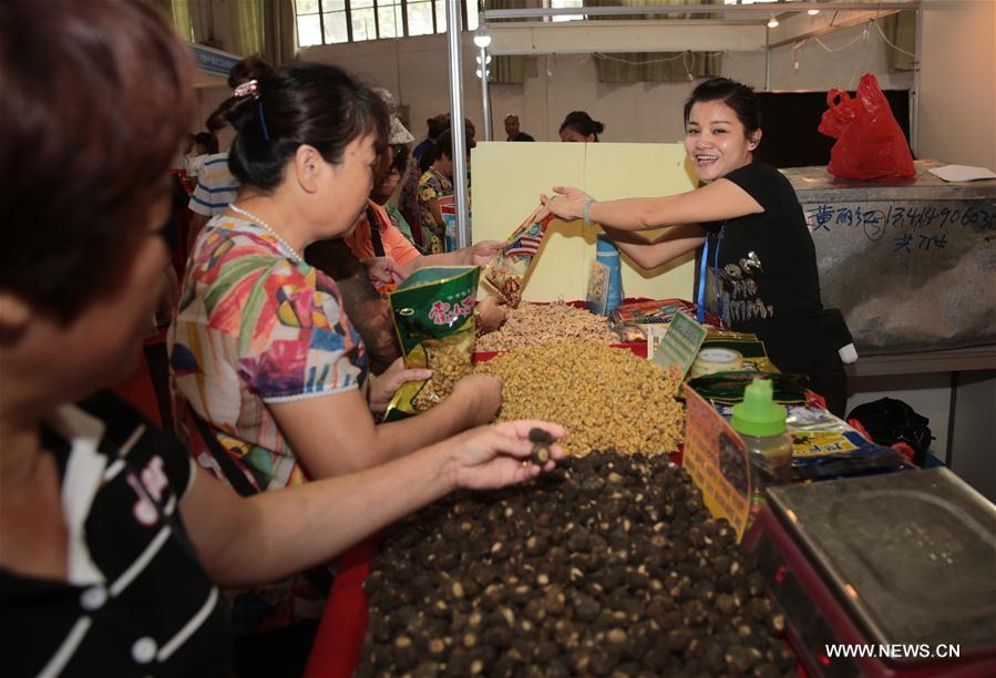 Sudoeste da China realiza 13a Expo China-ASEAN