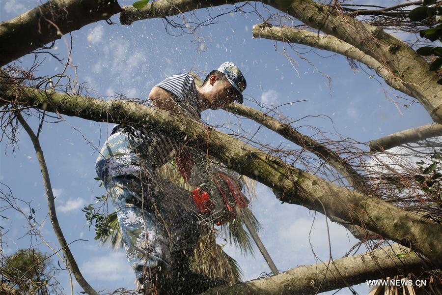 Xiamen aumenta esfor?os para se recuperar após passagem de tuf?o Meranti