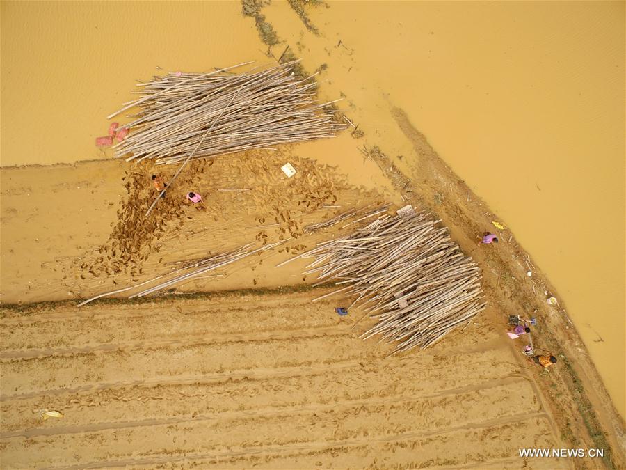 Xiamen aumenta esfor?os para se recuperar após passagem de tuf?o Meranti