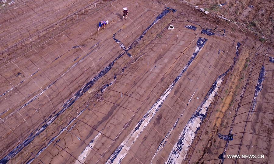 Xiamen aumenta esfor?os para se recuperar após passagem de tuf?o Meranti