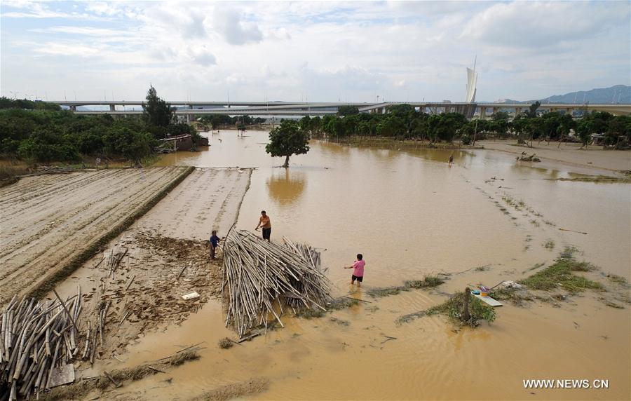 Xiamen aumenta esfor?os para se recuperar após passagem de tuf?o Meranti