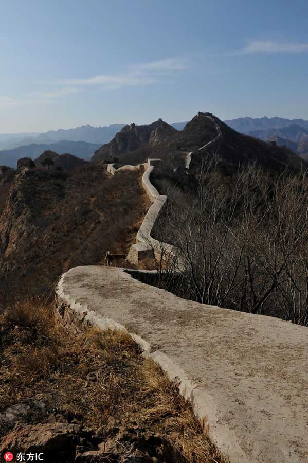 Restaura??o polêmica com recurso a argamassa em trecho da Grande Muralha se torna viral na internet
