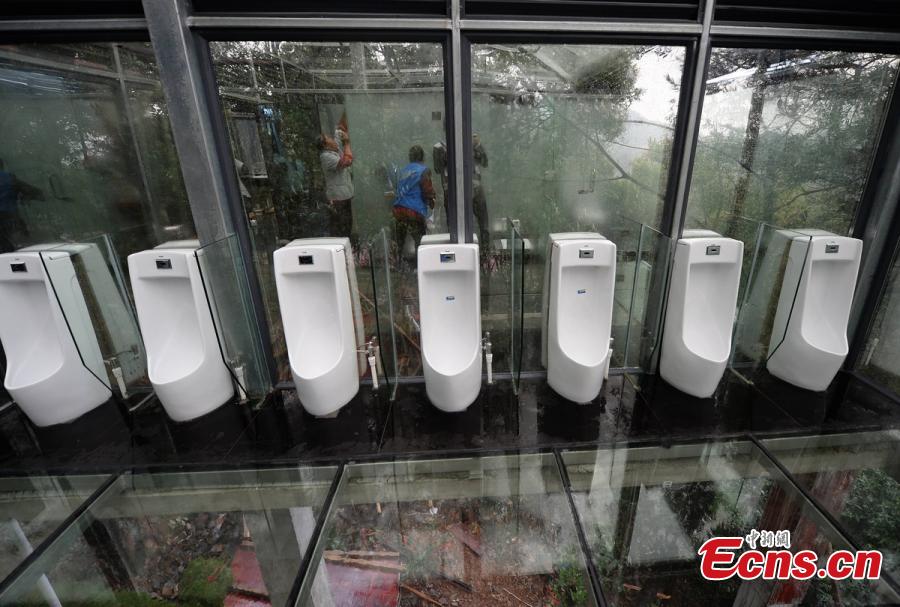 Insólito: Teria coragem de usar um banheiro transparente?