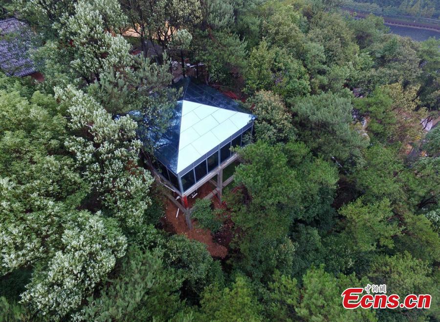 Insólito: Teria coragem de usar um banheiro transparente?