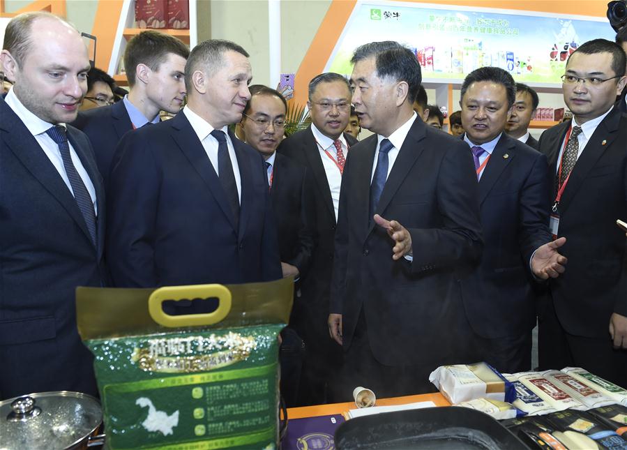 Beijing e Moscou prometem aumentar coopera??o entre nordeste chinês e extremo oriente russo