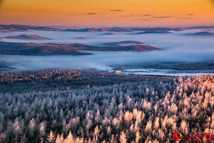 Cores e contornos da floresta Dahinggan
