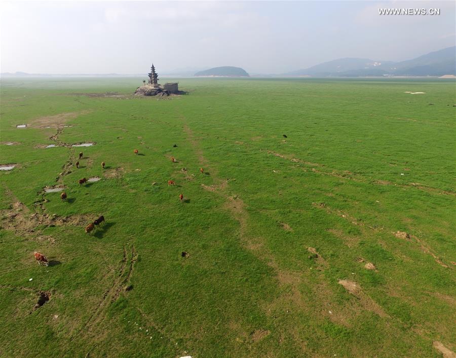 Seca afeta drasticamente níveis do maior lago de água doce da China