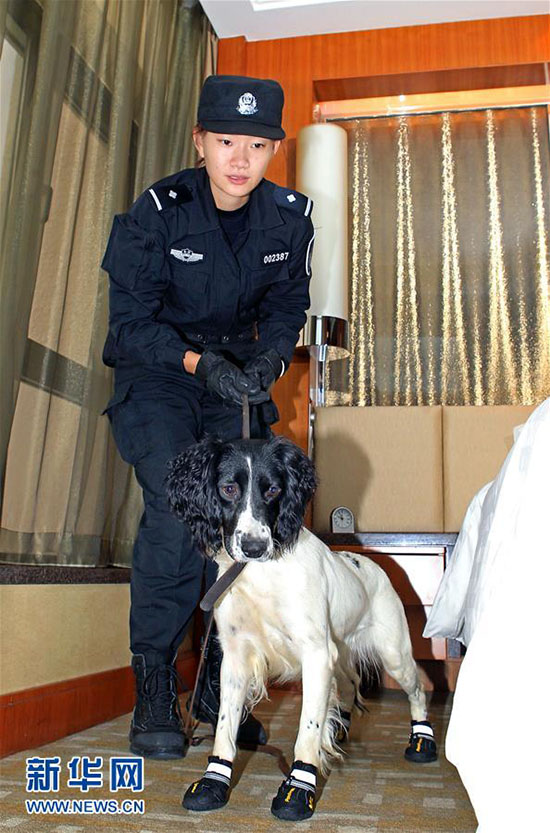 Mais de 1.000 c?es policiais colaboram em investiga??es criminais em Beijing