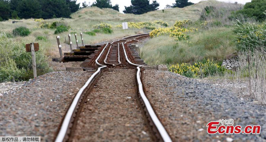 Terremoto na Nova Zelandia provoca dois mortos e aviso de tsunami